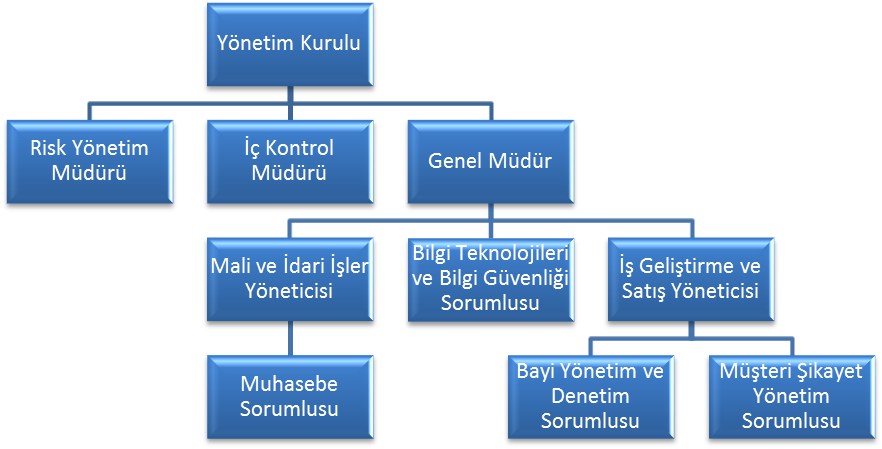 Organizasyon Şeması